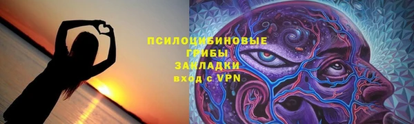 PSILOCYBIN Михайловка